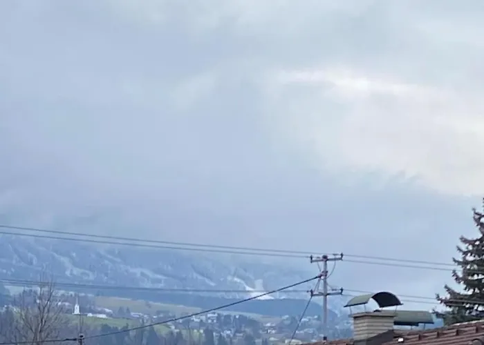 Tiny - * 因斯布鲁克